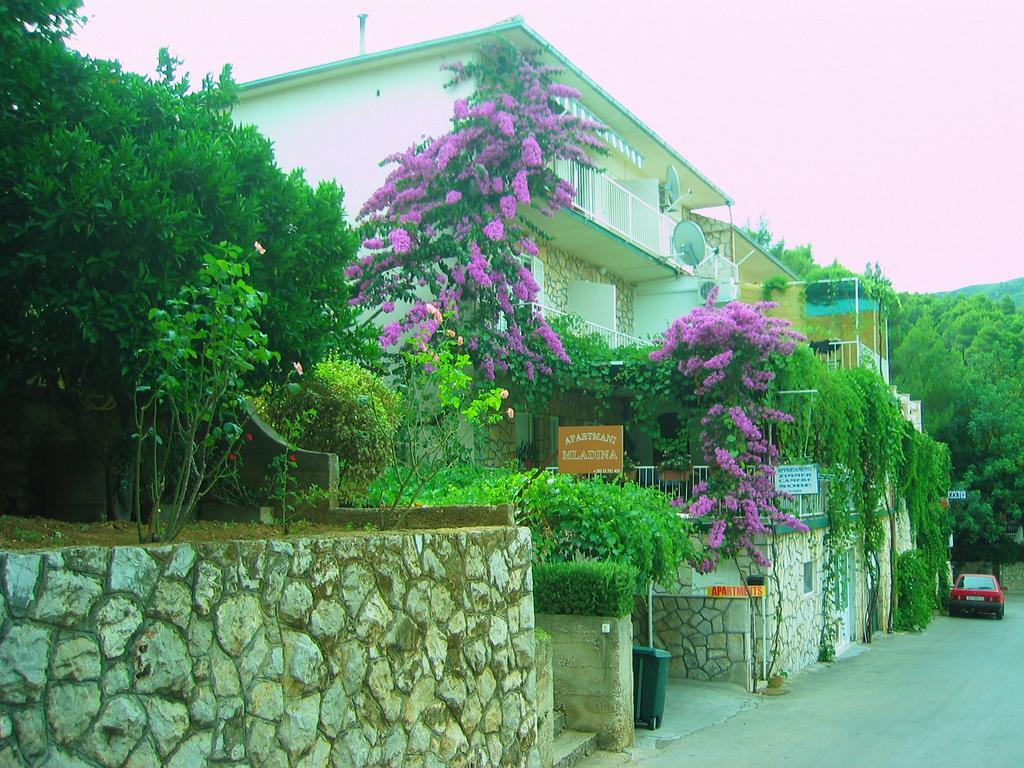 Villa Volga 耶尔萨 外观 照片