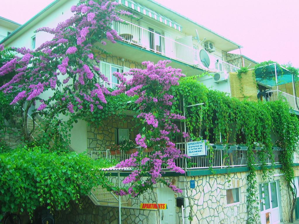 Villa Volga 耶尔萨 外观 照片
